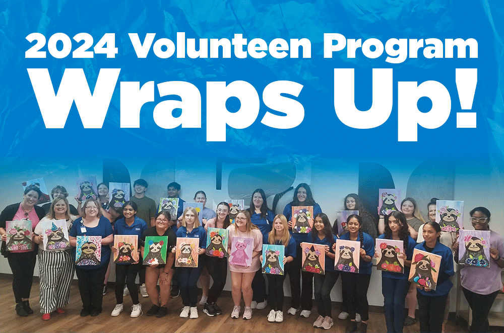 2024 Volunteen Program Wraps Up