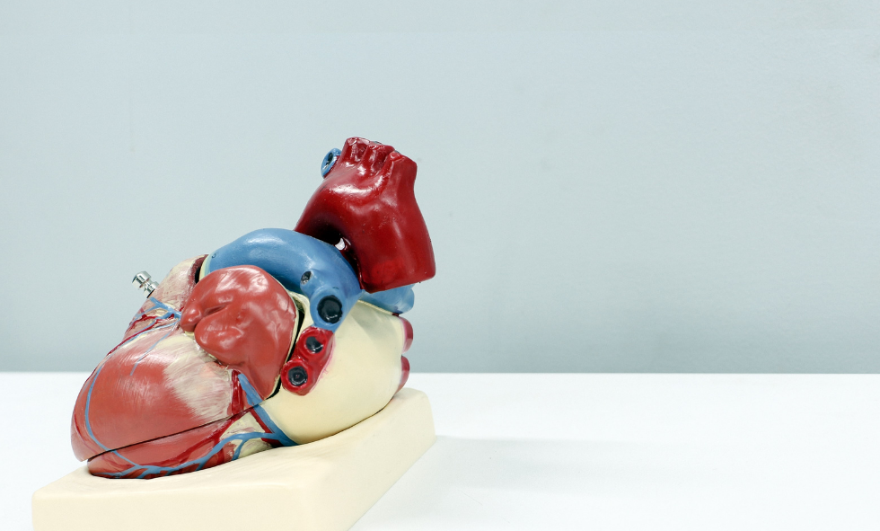 Does Covid-19 Increase Your Risk Of Heart Disease?