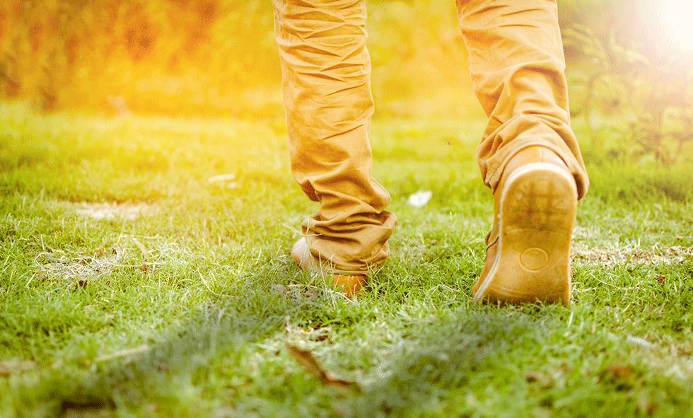 Organ Donation Helps Save Lives Through LifeShare